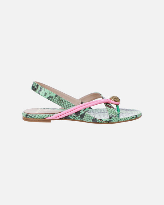 Alma Flat Sandal Snake Embossed Green/Pink